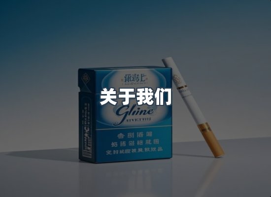 关于我们